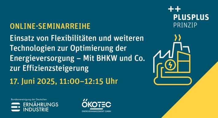 Einsatz von Flexibilitäten zur Optimierung der Energieversorgung / Onlineseminar von BVE und Ökotec