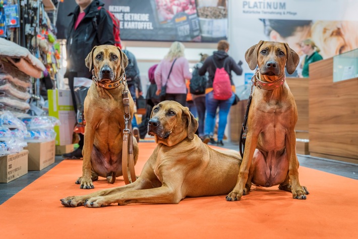 DOGLIVE 2023 – Ticket Vorverkauf ist gestartet