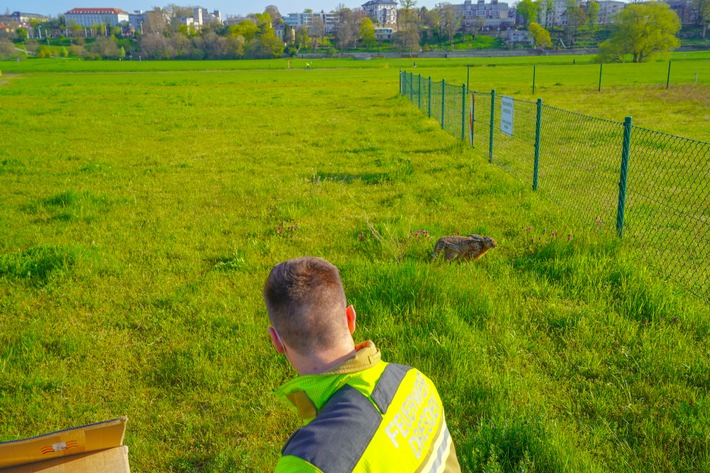 FW Dresden: Informationen zum Einsatzgeschehen der Feuerwehr Dresden vom 5. Mai 2021