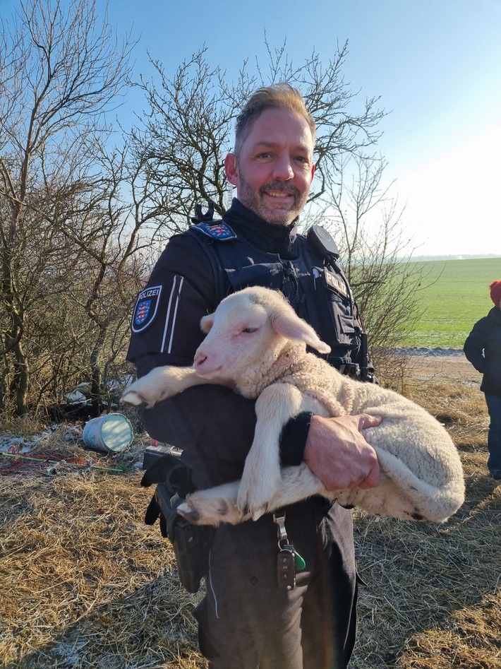 LPI-EF: Erfolgreiche Tierrettung