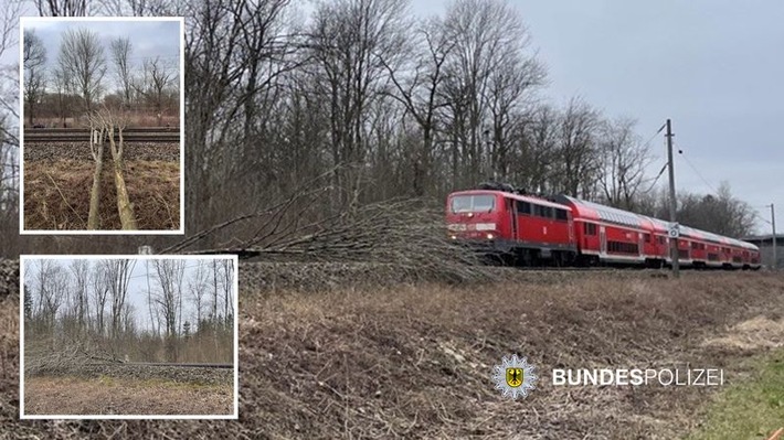 Bundespolizeidirektion München: Baum stürzt auf Oberleitungen - keine Verletzten: Bundespolizei ermittelt wegen gefährlichen Eingriffs in den Bahnverkehr