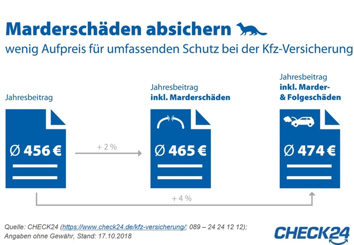 Kfz-Versicherung: Schutz bei Marderschäden günstig