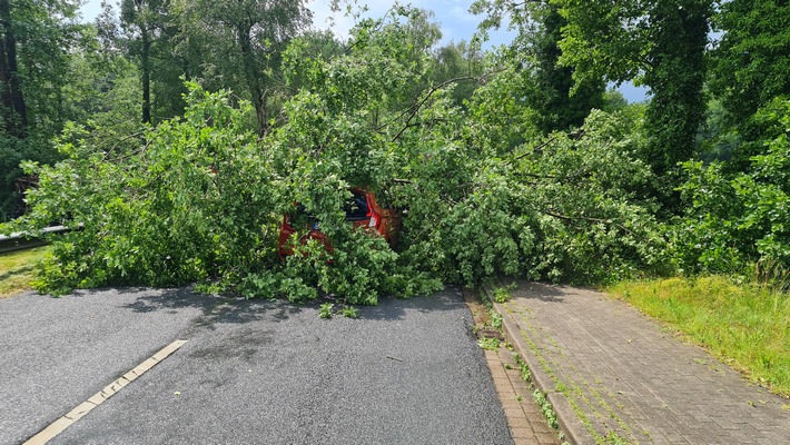 POL-STD: Baum fällt auf Straße und trifft Auto - Fahrer nicht verletzt, Polizei Buxtehude sucht Fahrrad-Eigentümer, Alkoholisierter Autofahrer verursacht Beinaheunfall - Polizei sucht Zeugen