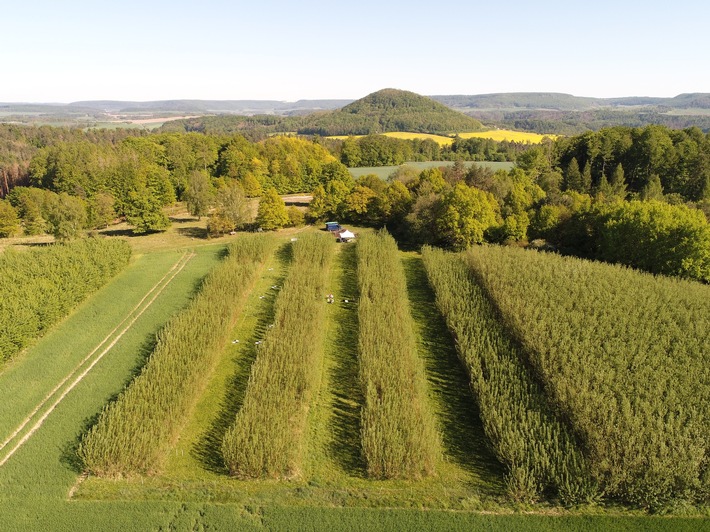 SPERRFRIST 16 Uhr: Landwirtschaft weiterentwickeln: Uni Kassel beteiligt an länderübergreifendem Forschungsverbund