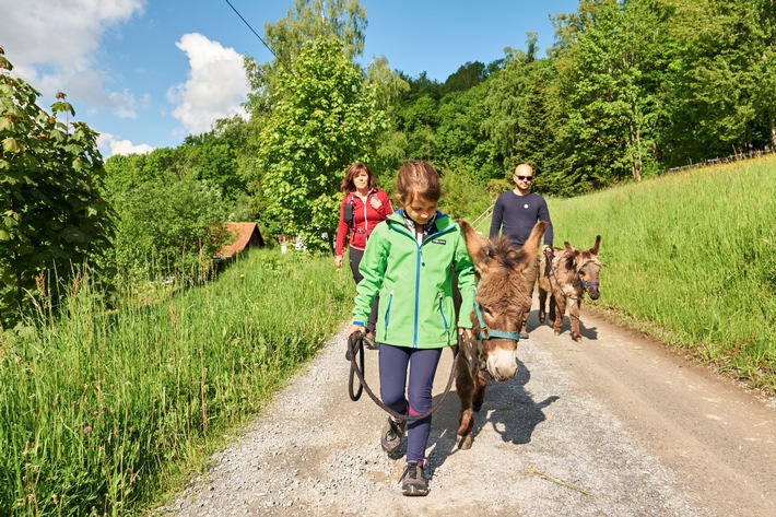Familienerlebnis auf den Spuren wilder Tiere / Die neun schönsten Tierwanderwege im Bayerischen Wald