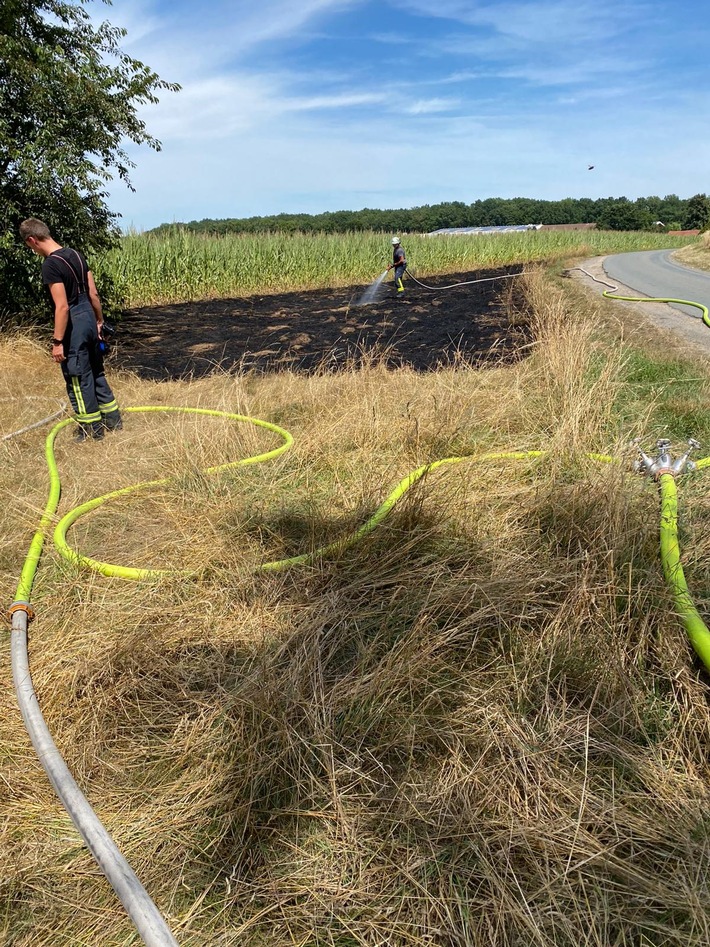 FW-Schermbeck: Grasfläche brannte am Drievweg