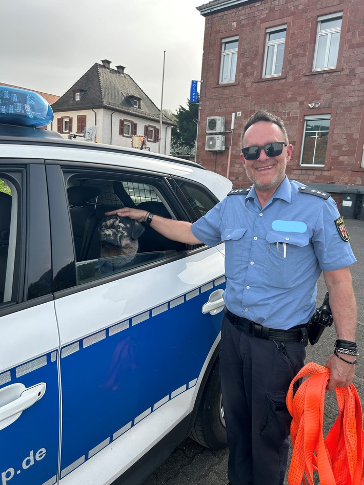 POL-PDLD: Toter Hund auf dem Parkplatz der B10 am Barbarossatunnel...