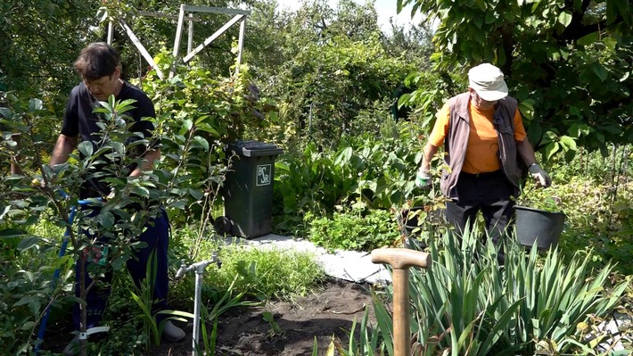 Diese Woche bei "Von Hecke zu Hecke - Bunte Beetgeschichten": Ernteglück und Gartenfreuden in der "Kleingartenanlage Bornholm"