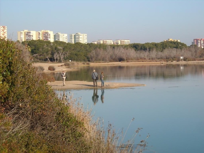 Zu grün, um gesund zu sein - Der Albufera-See ist Bedrohter See 2020