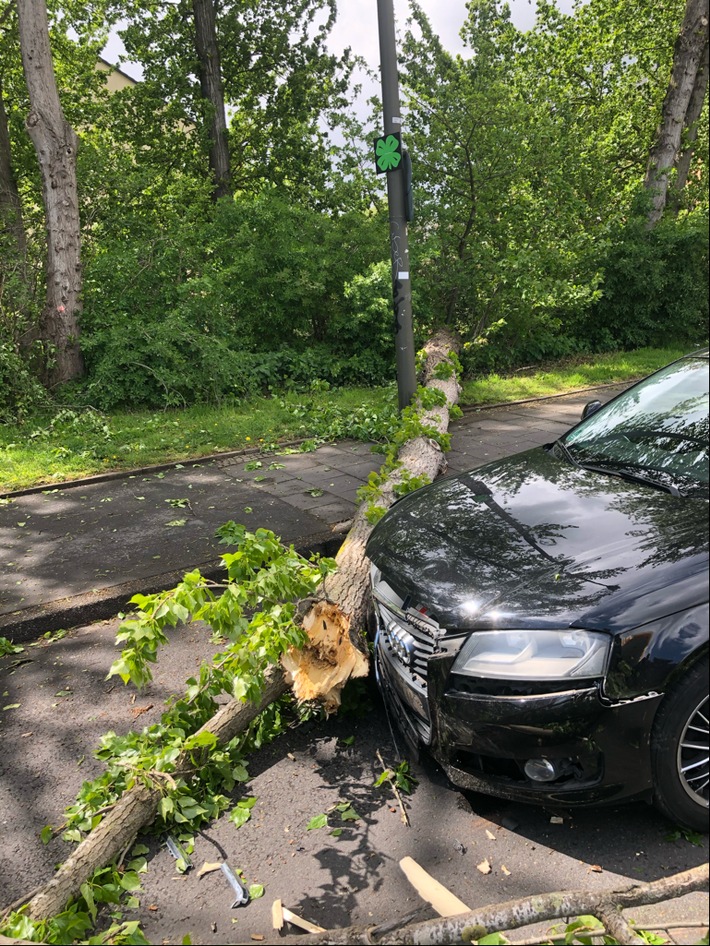 POL-DO: Autofahrerin prallt in umgestürzten Baum
