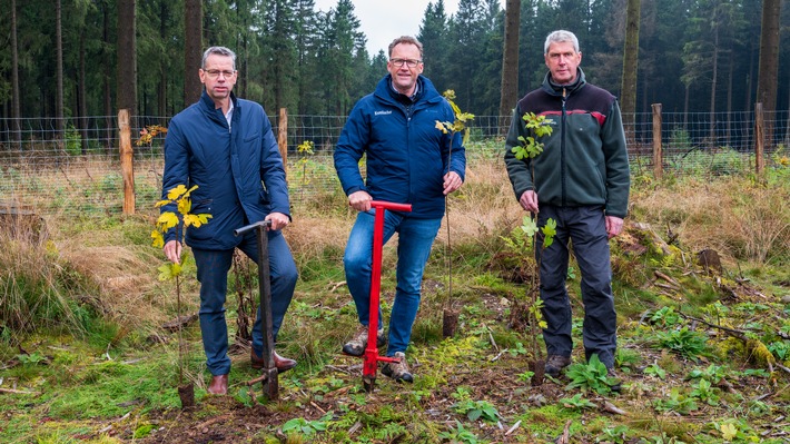 Gemeinsam für den Wald: Krombacher und Stadt Winterberg starten Aufforstungs-Aktion