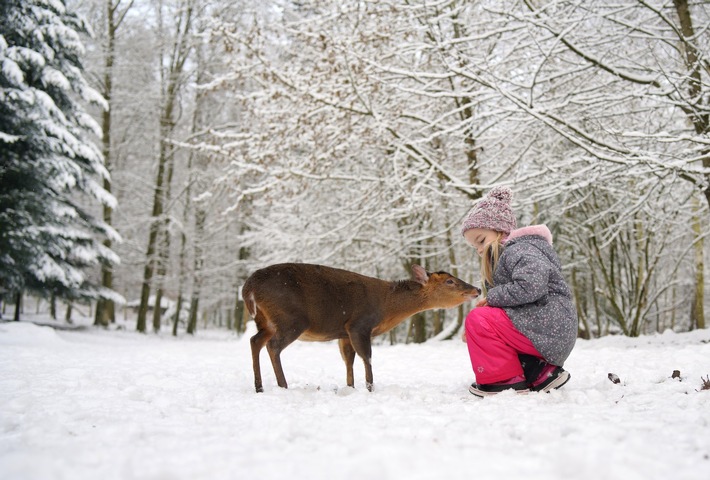 Tierisches Erlebnis & außergewöhnliche Übernachtungen in Tripsdrill