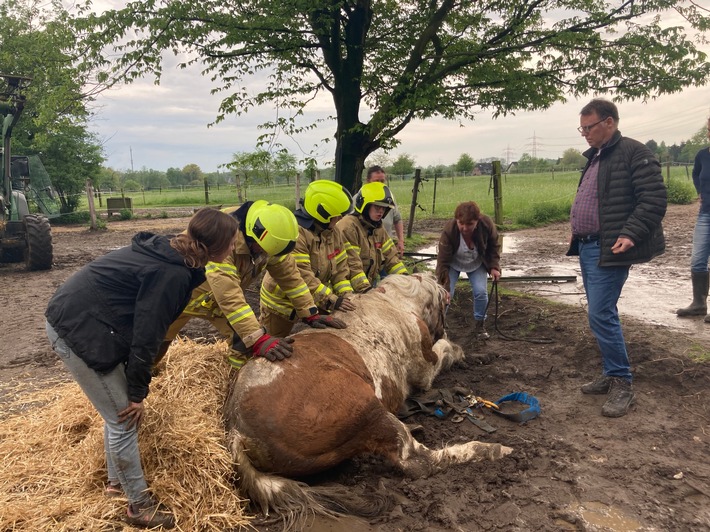 FW Ratingen: Pferd versinkt in matschigem Erdreich - nicht alltäglicher Einsatz für die Feuerwehr Ratingen