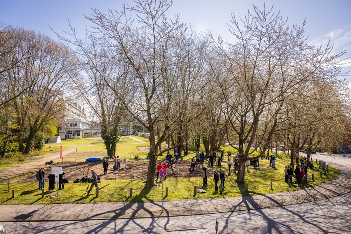 BAUHAUS zieht positive Bilanz aus Waldinsel-Pflanzungen