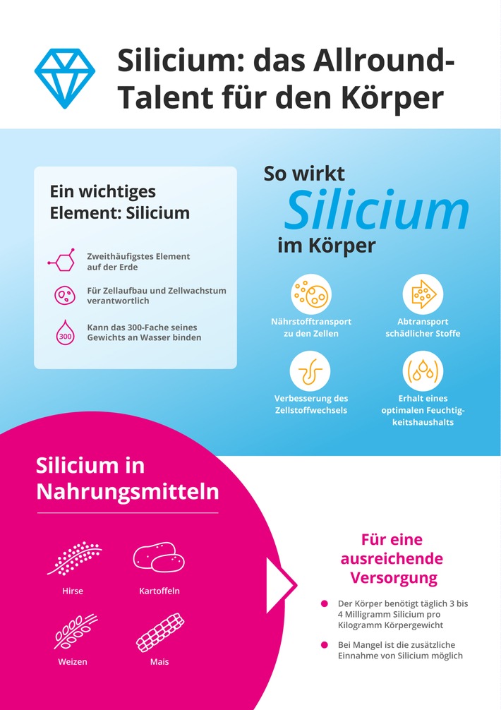 silicea_Infografik Silicum.jpg