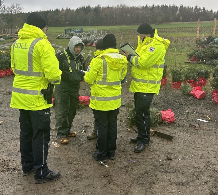 HZA-BI: Oh Tannenbaum/Zoll und Bezirksregierung kontrollieren Weihnachtsbaumbranche im Hochsauerlandkreis