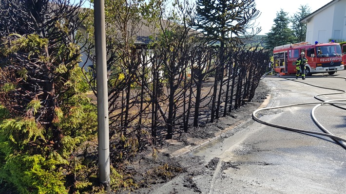 POL-PDTR: Brennende Thujahecke gefährdet Wohnhaus