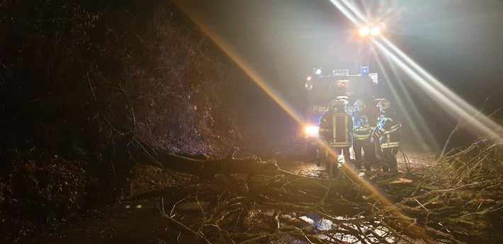 FW Lügde: Feuerwehr beseitigt Bäume