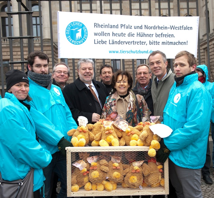 Tierschutz im Bundesrat: Wer will Käfighühnerqual beenden? (mit Bild)