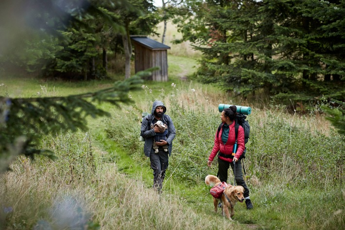 Haustierfreundliches Reisen ist im Trend: Bei 4 von 10 deutschen Hundebesitzern bestimmt der Vierbeiner die Urlaubsziele