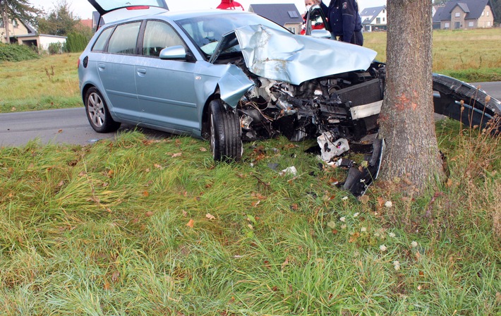 POL-MI: Tier ausgewichen: Autofahrerin (19) prallt gegen Baum