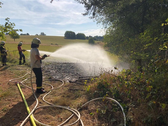 POL-PDPS: Wiesenbrand