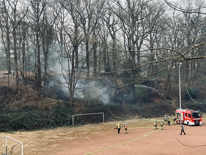 FW-E: Erster Waldbrand des Jahres 2025 - rund 1000 Quadratmeter Vegetation verbrannt