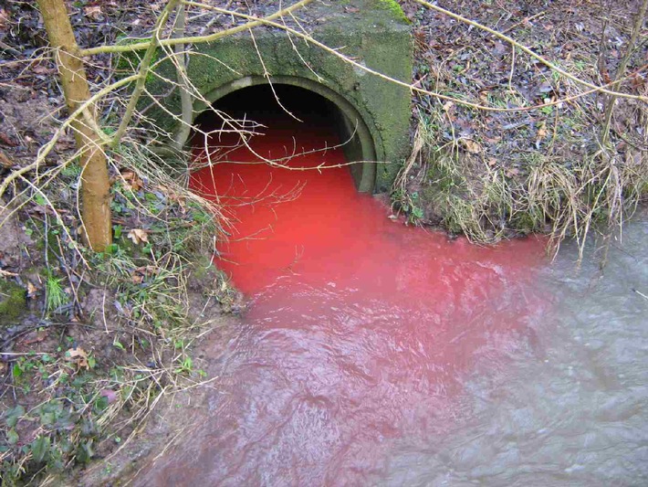 POL-HOL: Stadtoldendorf - Eberbach: Verdacht der Gewässerverunreinigung  - Roter Farbstoff landete im Eberbach -