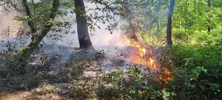 FW Xanten: Bodenfeuer in Xanten Vynen und Waldbrand in der Hees