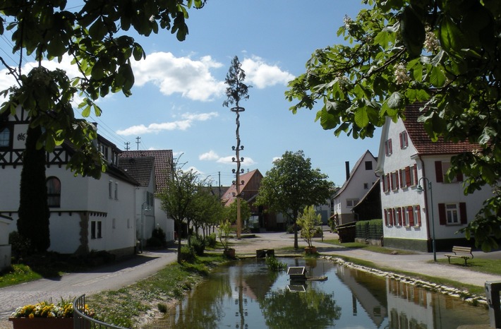 Grüne Wärme im Dorf: Rottenburg untersucht ein klimafreundliches Nahwärmenetz für Oberndorf