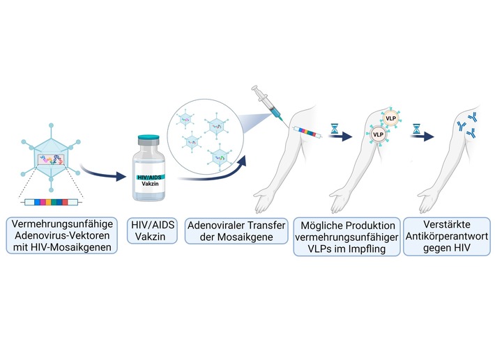 Mosaik-Impfstoff gegen HIV/AIDS näher charakterisiert