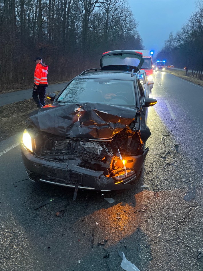 LPI-EF: Wildschweine verursachen Verkehrsunfall