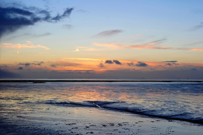 Digitaler und fokussierter: Die „Die Nordsee GmbH“ richtet sich neu aus