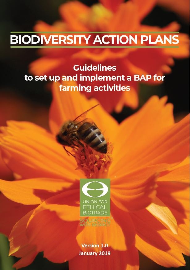 Unternehmen müssen konkrete Pläne zum Schutz der Biodiversität vorlegen