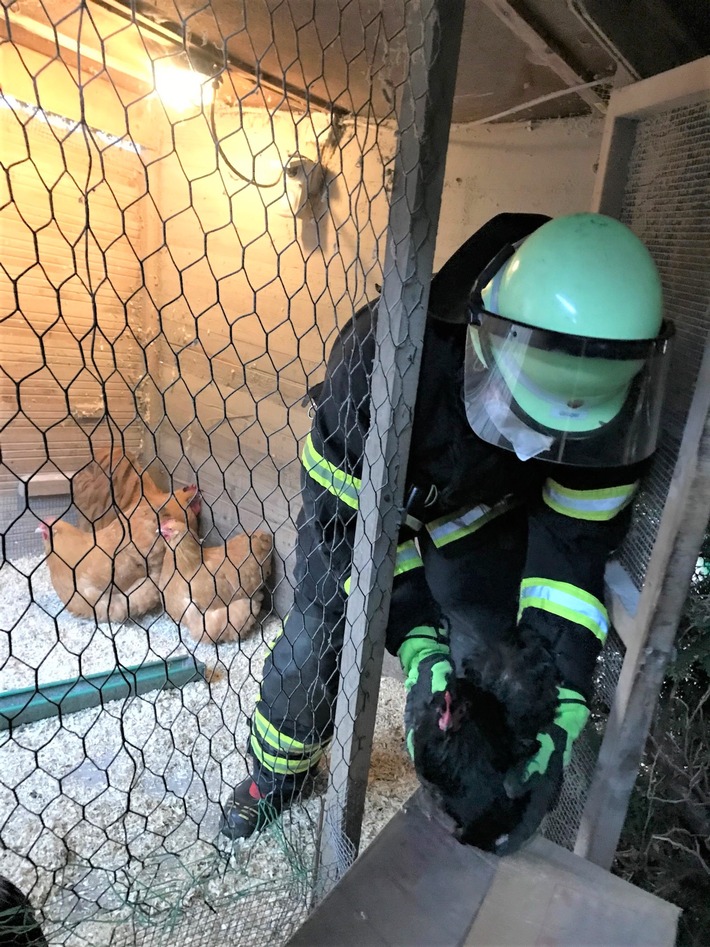 FW-DO: Buche fällt auf Hühnerstall