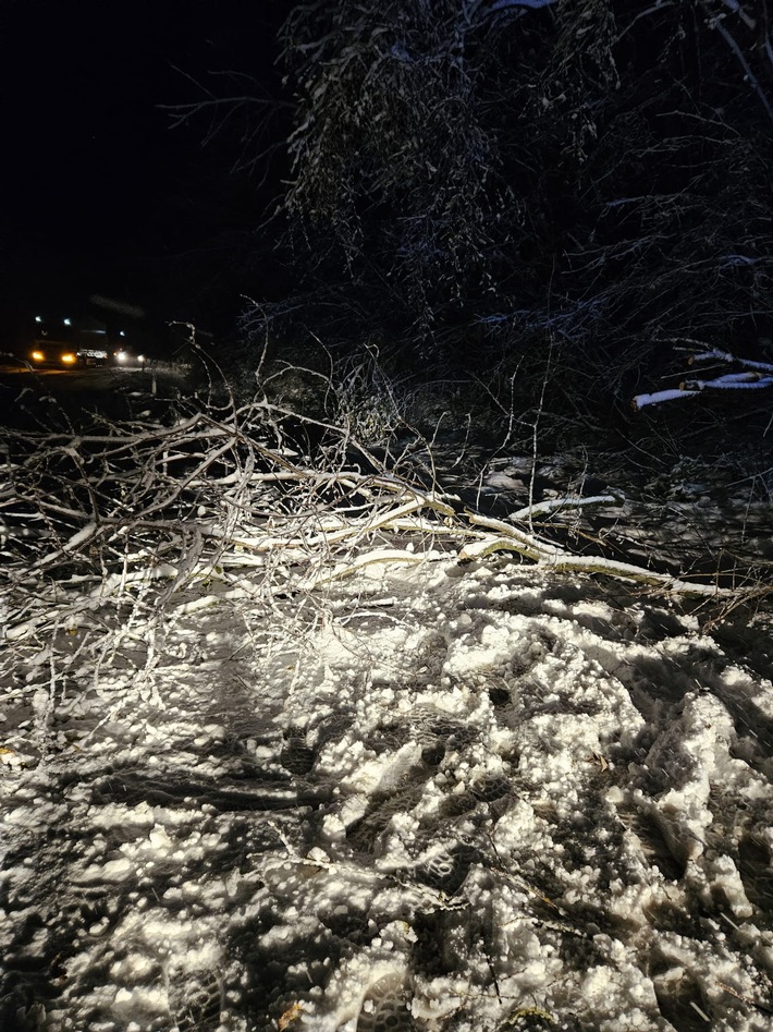 FW-EN: Baum auf Fahrbahn