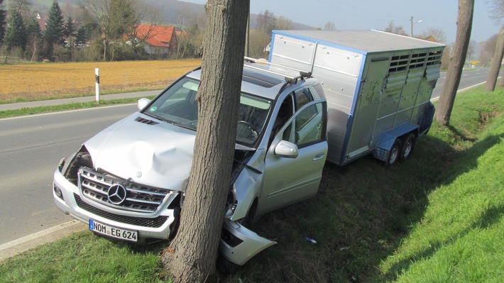 POL-HOL: Bundesstraße 64 -  Eimen Richtung Seesen: "Schlecht geworden" - gegen Baum geprallt - Fahrer und Kuh kamen mit dem Schrecken davon -