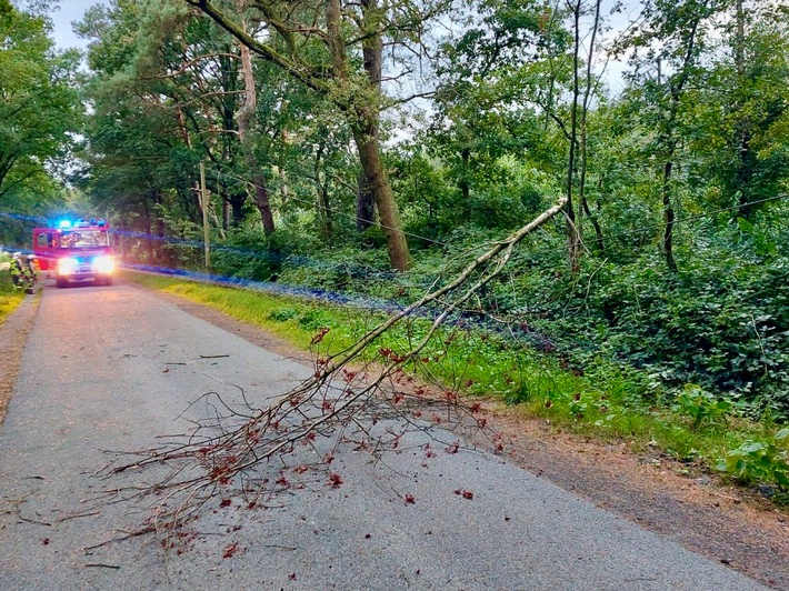 FW Hünxe: Baum auf Telefonleitung