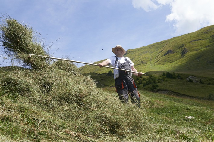 Caritas-Montagnards propose des bénévoles à des familles de paysans de montagne en détresse / Les paysans de montagne suisses ont besoin de 700 bénévoles