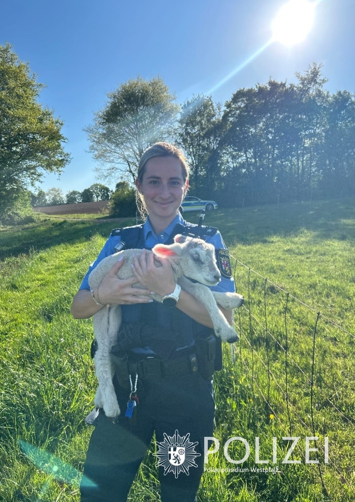 POL-PIZW: Tierretter in der Not