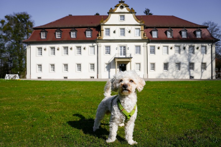 Wald & Schlosshotel Friedrichsruhe:  Auf vier Pfoten unter fünf Sternen rundum verwöhnt