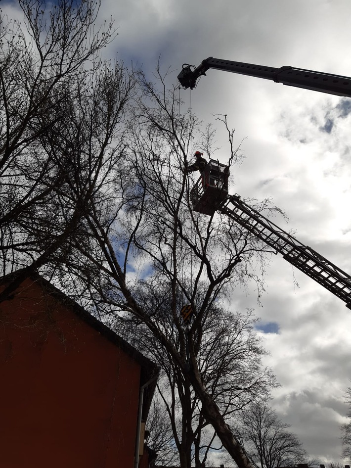 FW-MH: Sturmtief "Klaus" - Zwischenbilanz der Feuerwehr Mülheim