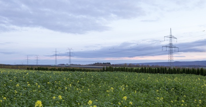 SPIE realisiert Ersatzneubau einer Höchstspannungsfreileitung für Amprion im Rheinland