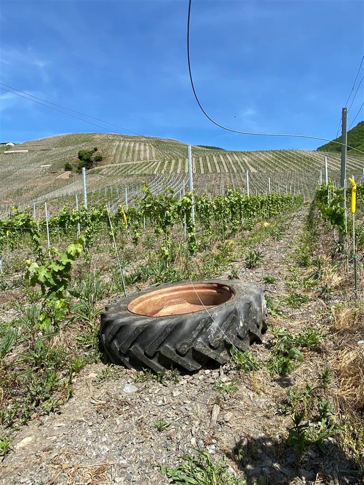 POL-PDWIL: Traktorreifen rollt den kompletten Weinberg hinunter