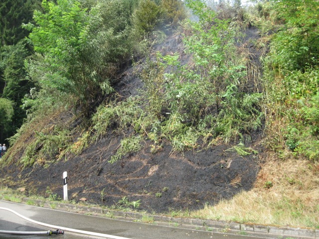 POL-PDLD: Flächenbrand neben der B 48 in Höhe der Anschlussstelle Hofstätten