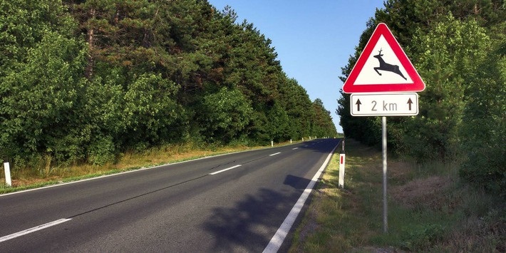 Medienmitteilung: Gefahr für Wildtiere - Sommerzeit und Paarungszeit erhöhen Risiko von Verkehrsunfällen