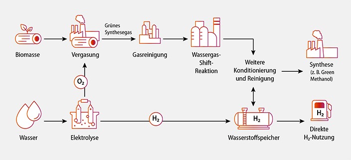 Biogene Rest- und Rohstoffe als Schlüssel zu nachhaltiger Gasproduktion