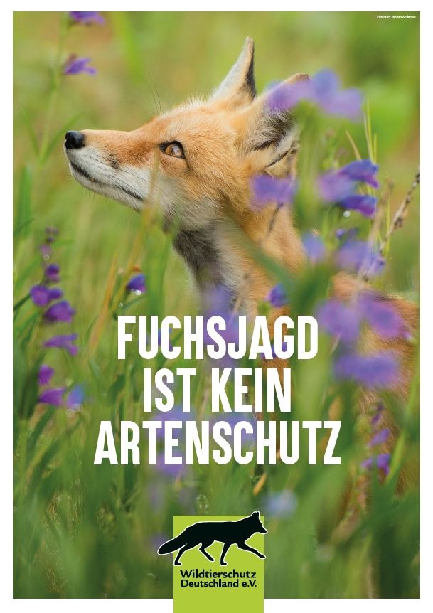In Rheinland-Pfalz bleibt es bei der vergnügungsorientierten Hobbyjagd - Novellierung Jagdgesetz