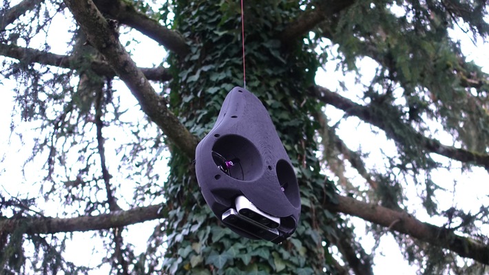 Un robot se hisse dans la canopée inexplorée