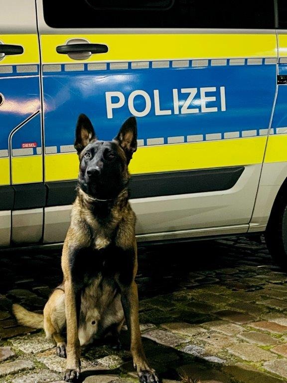POL-HH: 230628-1. Schwerpunkteinsatz zur Bekämpfung der Drogenkriminalität im Dulsberg-Park
